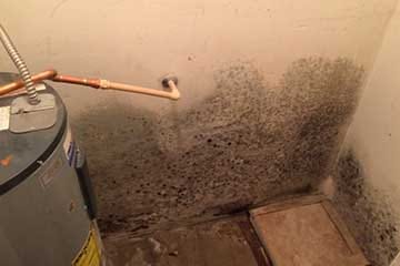 A water supply line for a water heater bursts and causes mold and water damage.
